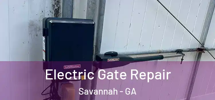 Electric Gate Repair Savannah - GA