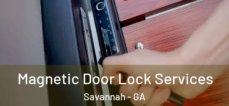 Magnetic Door Lock Services Savannah - GA